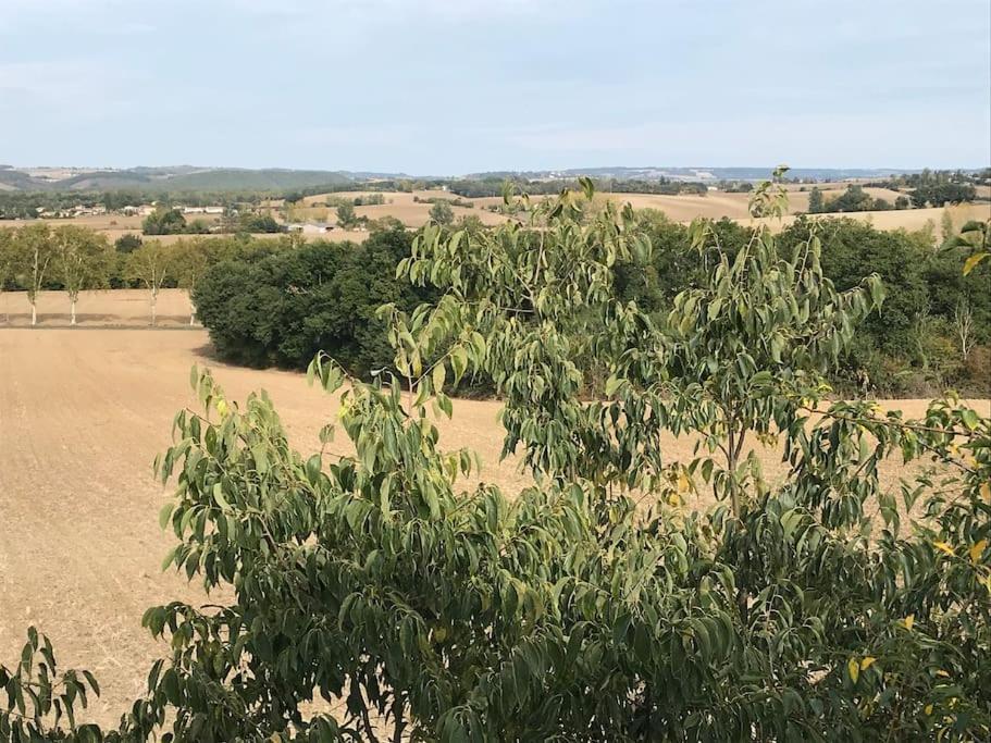 Appartement Neuf & Ecologique A La Campagne Marzens Εξωτερικό φωτογραφία